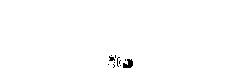 The White Teak Company