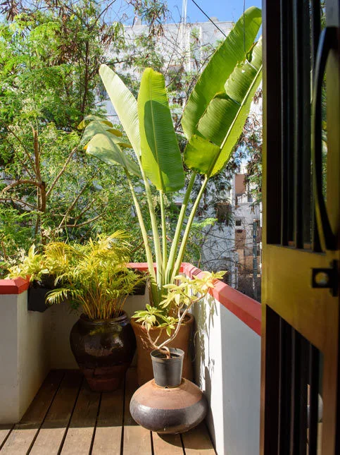 Giant Vase in Balcony - Beautiful Homes
