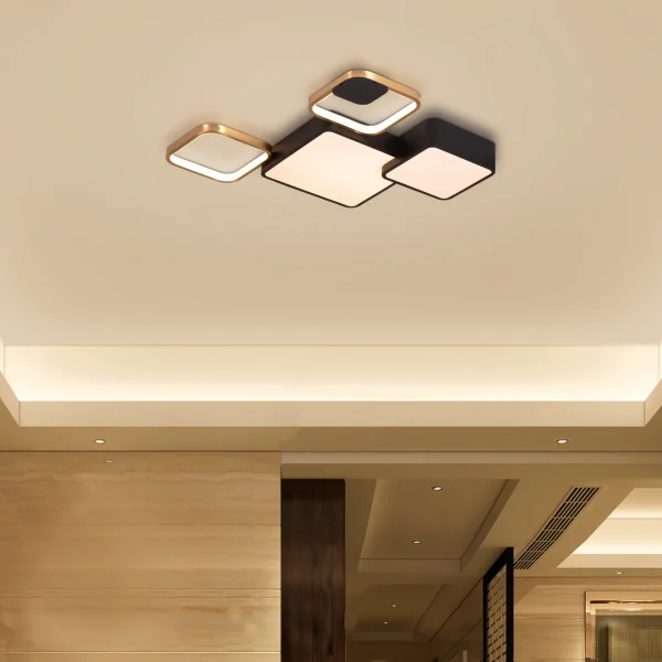 Undivided (3 Colour, Dimmable LED with Remote Control) Ceiling Light